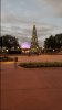 20171114_175206.jpg