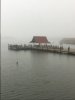 IMG_7481.JPG
