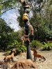 JC hyenas 50.jpg