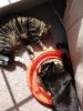 upload_2017-11-16_7-27-20.jpeg