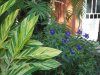 DSC00160.JPG