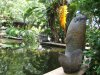 DSCF1363.JPG