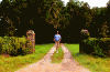 giphy (1).gif