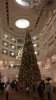 09B5A943-099D-4625-84F7-0CAA92101DF8.jpeg