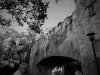 DSC00835.JPG