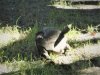 DSC00201.JPG