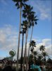 DSC00885.JPG