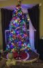20171128_211013-1017x1605.jpg