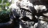 20171029_152035.jpg