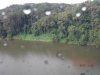 DSCF0342.JPG