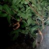 DSCF0434.jpg