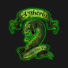 Slytherin.jpg