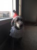 IMG_1286.JPG IMG_1286.JPG