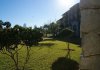 Dsc02105.jpg