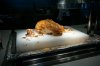 DSC02750.JPG