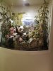 pandas.jpg