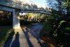 Dsc02178.jpg