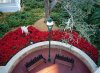 Dsc02197.jpg
