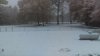 IMAG0677.jpg