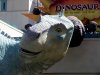 IMG_1174.JPG