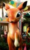 20171209_115324.jpg