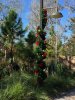 Decorated Post by cabins.jpg