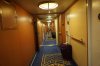 DSC02792.JPG