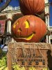 pumpkins.jpg