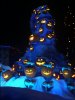 IMG_3857.JPG IMG_3857.JPG