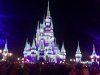 IMG_7827.JPG