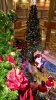 dec 2017 22.jpg