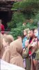 0905161544.jpeg