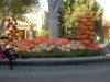 DSCN1040.JPG