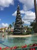 IMG_4361.jpg