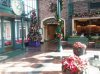 20171116_142826.jpg