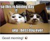 caaddictsanonymouse-so-this-is-boxing-day-yep-best-day-ever-10092658.png