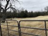 468E0582-7262-41F6-BBFD-E37408EFE168.jpeg