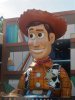 IMG_4258.JPG IMG_4258.JPG