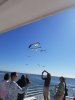Resized_20171230_112213_9947.jpeg