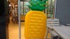 DS pineapple sign.jpg