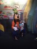 IMG_6384.JPG IMG_6384.JPG