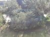 tmp_14382-20180104_094049-1612x12091764386110.jpg