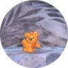 lion.jpg