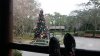 20180102_105552.jpg