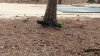 20180105_111958.jpg