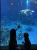 IMG_3914.jpeg