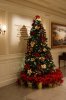 Dsc02494.jpg