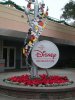 Dscn3245.jpg