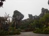 DSCN3627.jpg