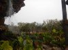 DSCN3639.jpg